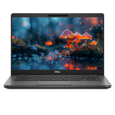 Dell Latitude 5300