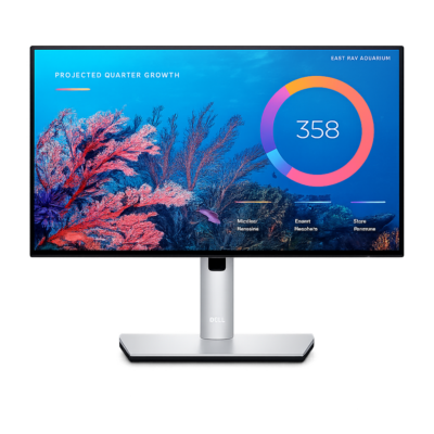DELL U2422HE 24 Zoll