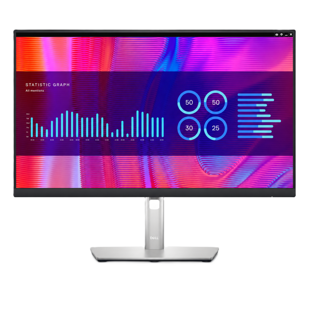 Dell P2423DE 24 Zoll