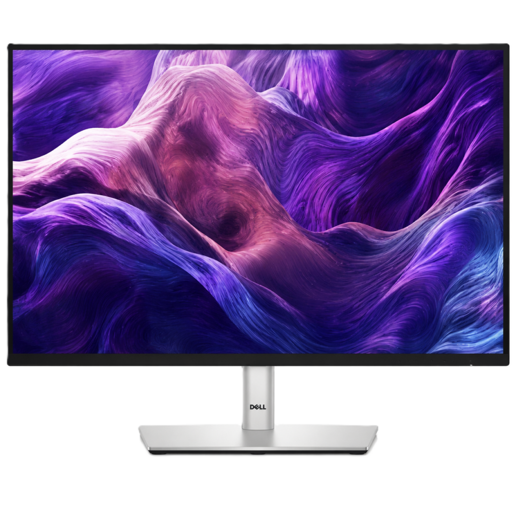 DELL P2425 24 Zoll